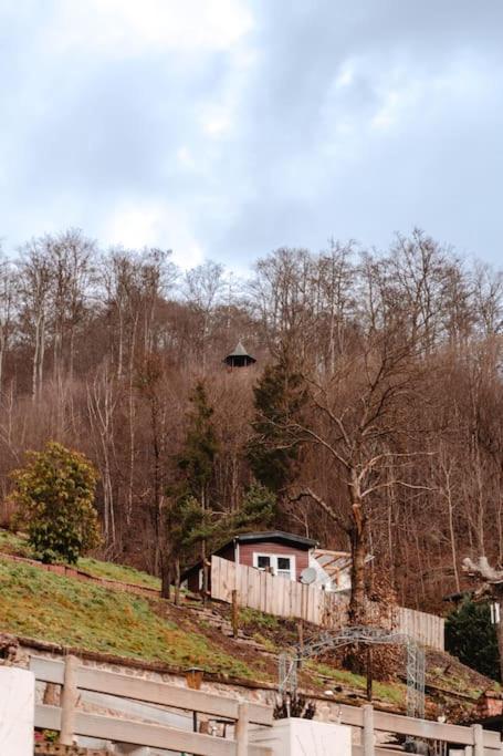 Tinyhouse Auf Dem Sonnenhang Osterode am Harz Exteriör bild