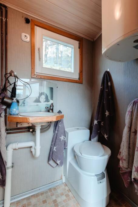 Tinyhouse Auf Dem Sonnenhang Osterode am Harz Exteriör bild